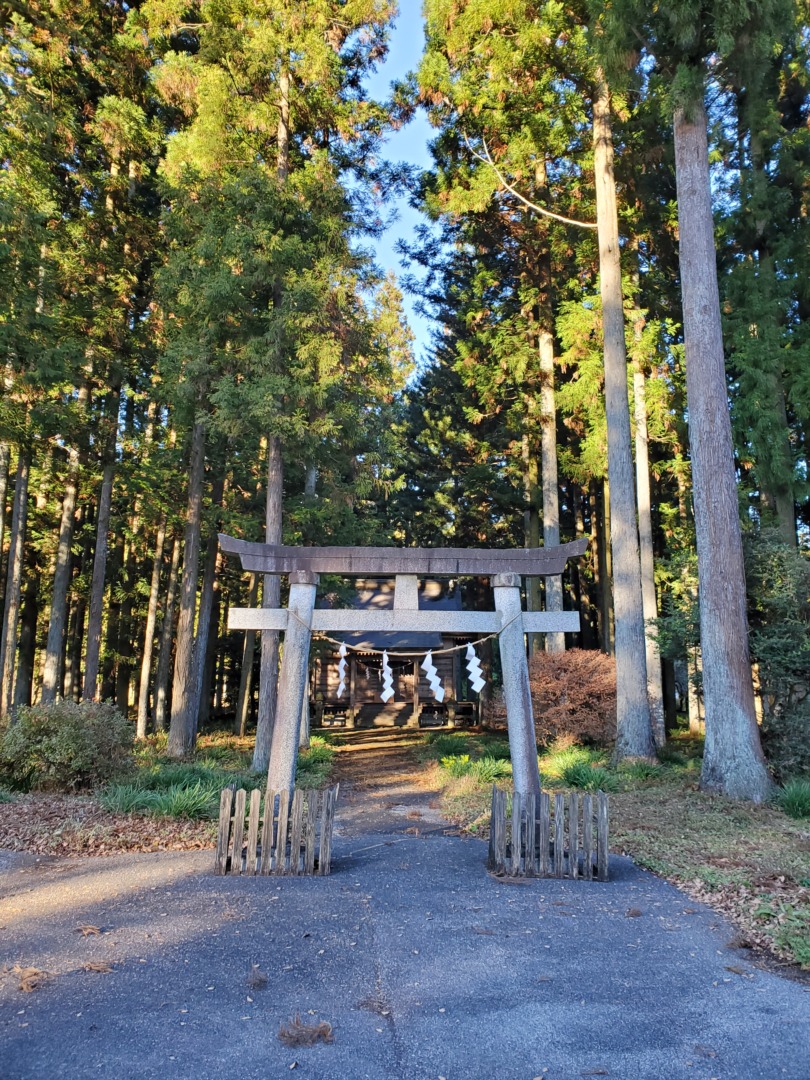 新渡神社