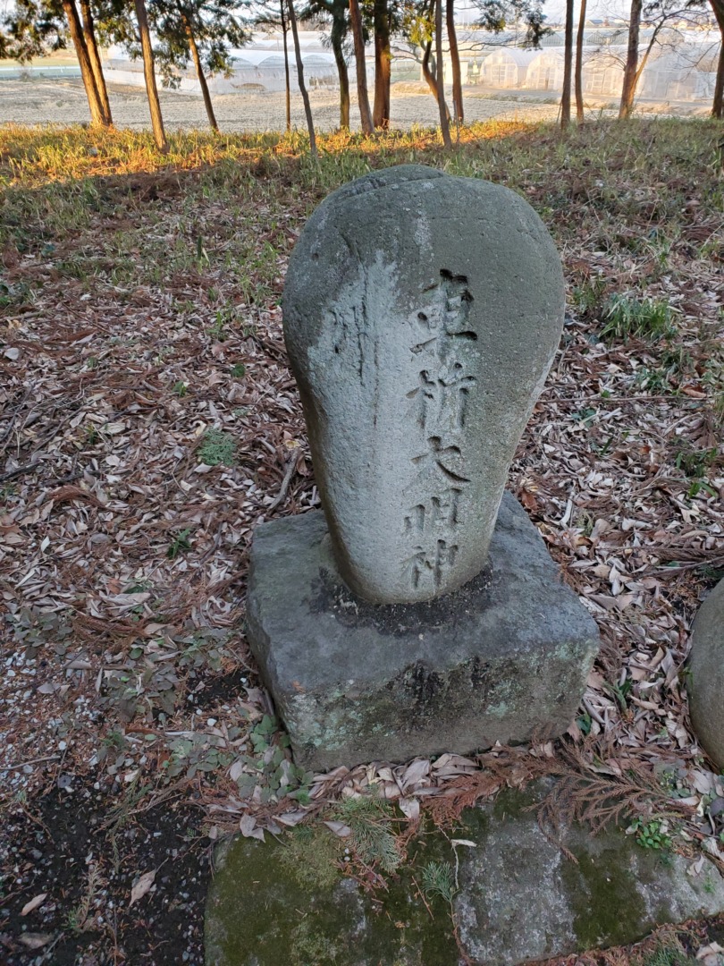 長良神社境内車析大明神
