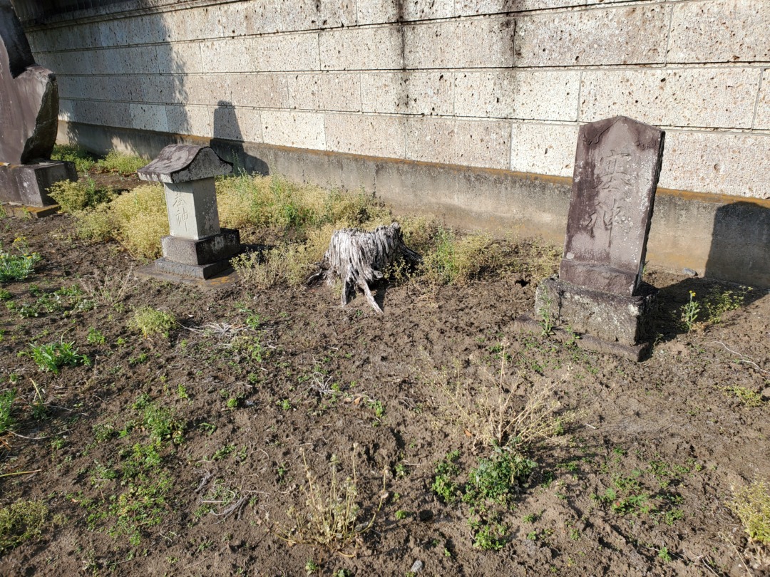 常世岐姫神社境内塞神